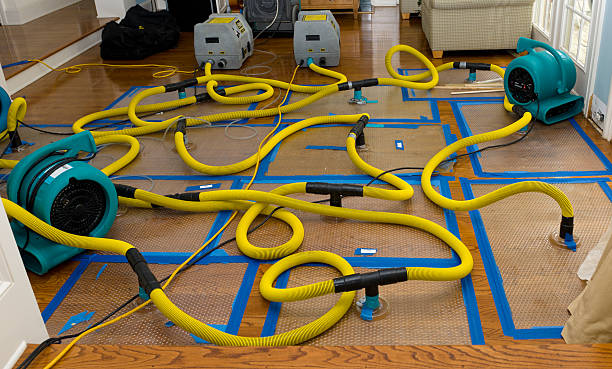 Professional Sewage Cleanup technician working in Iona, FL